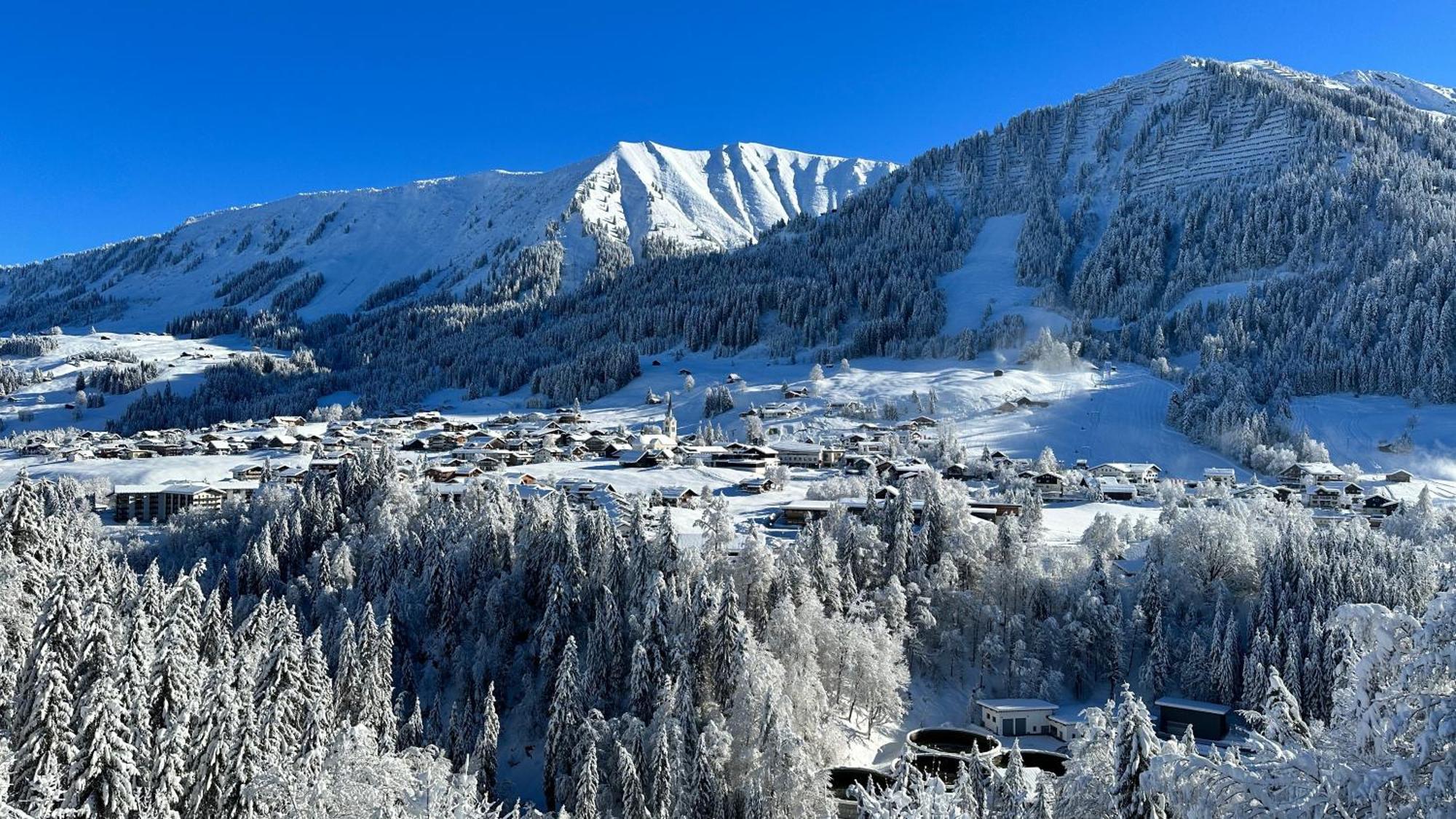 Alpen Hotel